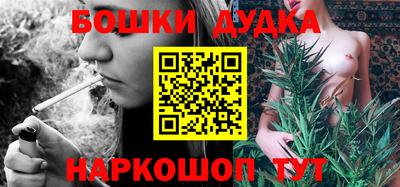индика Партизанск