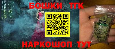 индика Партизанск