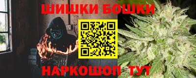 индика Партизанск