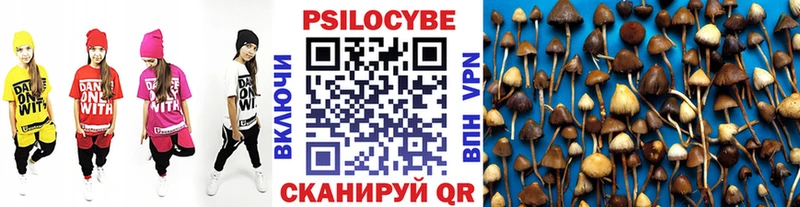 Галлюциногенные грибы ЛСД  сайты даркнета какой сайт  кракен как войти  Черемхово  магазин   