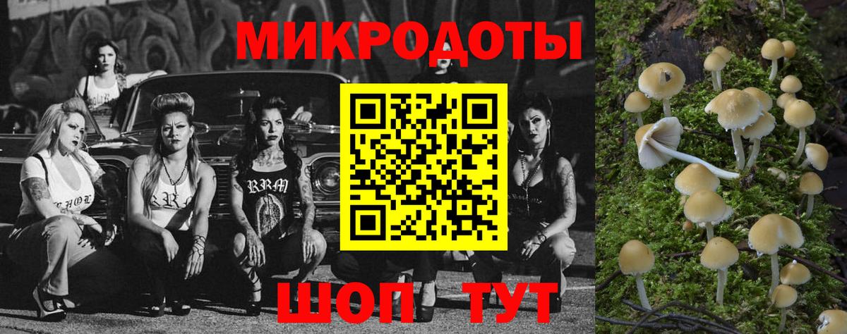 Галлюциногенные грибы мухоморы Черемхово