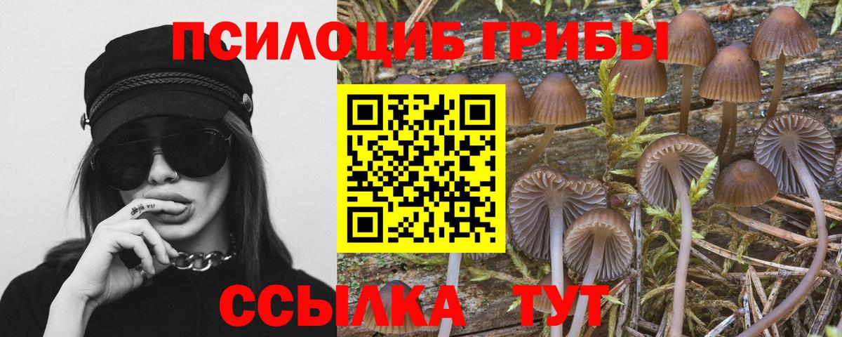 Псилоцибиновые грибы мухоморы  Вход с VPN  Черемхово 